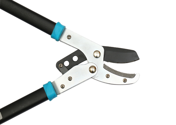 Haie de branche d'arbre équilibrant de longs ciseaux d'élagage de 58mm pour des jardiniers d'agriculture